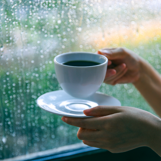 Rainy Day Dried Fruit Ideas