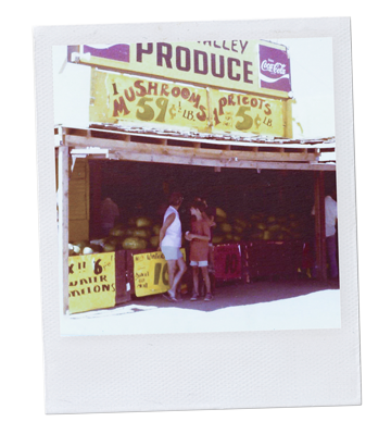 Sigona's Farmer's Market Stand - 1970s